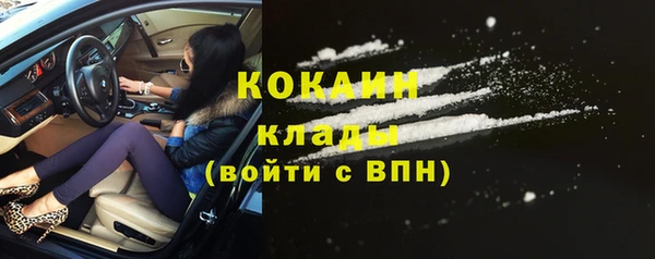 стафф Арсеньев