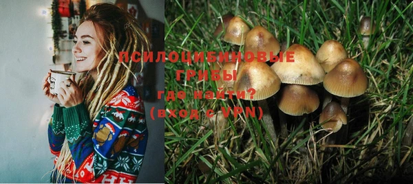 стафф Арсеньев
