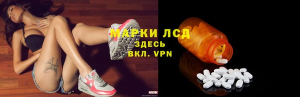 прущие грибы Балабаново