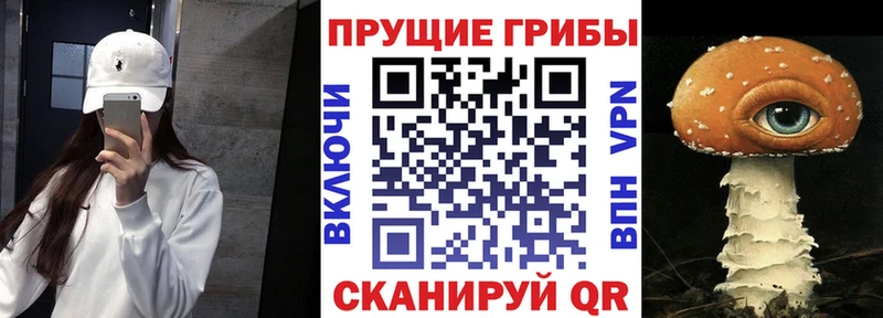 купить закладку  Верхняя Тура  Псилоцибиновые грибы мицелий 