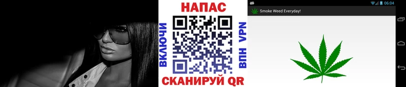 где найти   Верхняя Тура  Конопля Bruce Banner 